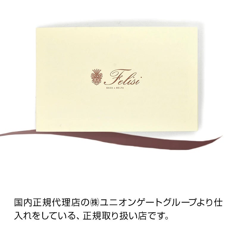 フェリージFelisiショルダーバッグ男女兼用コンパクトポシェット17/17/DSナイロン素材ネイビー紺スクエアフォルム調節可能ショルダーコードプレゼント贈り物国内正規品でらでら公式ブランド