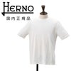 【ポイント8倍7/119:59まで】ヘルノHERNO半袖Tシャツメンズクルーネックカットソーニット調JERSEYKNITEFFECTホワイト白レギュラーフィットショートスリーブシルバープレート国内正規品でらでら公式ブランド