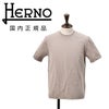 【ポイント8倍7/119:59まで】ヘルノHERNO半袖Tシャツメンズクルーネックカットソーニット調JERSEYKNITEFFECTグレーブラウンレギュラーフィットショートスリーブシルバープレート国内正規品でらでら公式ブランド