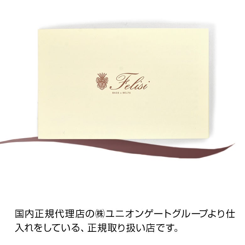 フェリージFelisiトートバッグ男女兼用15/20/3/DSシルキーナイロン×レザーネイビー紺２フェイス変形型スクエアフォルム軽量マグネット釦開閉式国内正規品でらでら公式ブランド